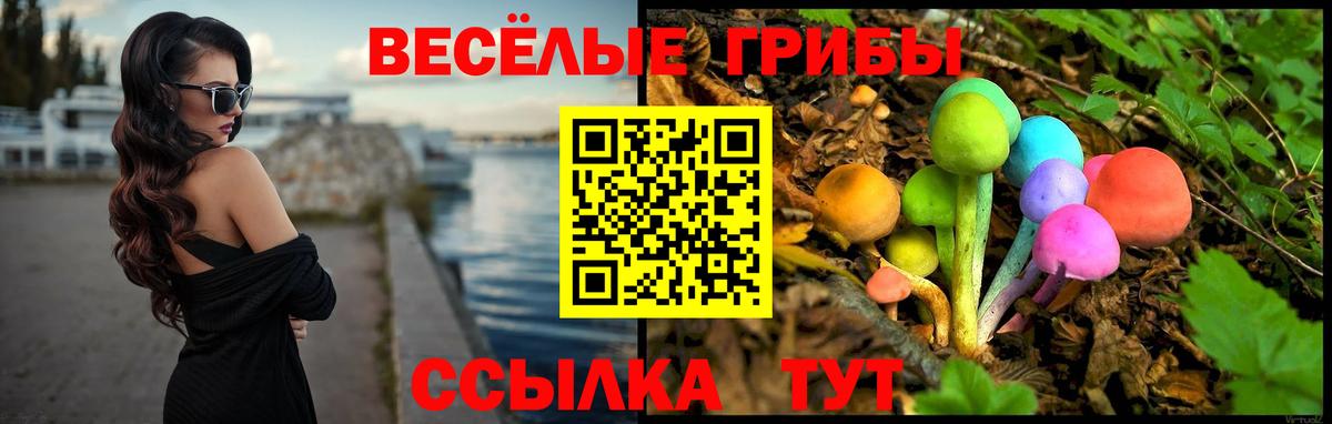 Галлюциногенные грибы ЛСД Будённовск